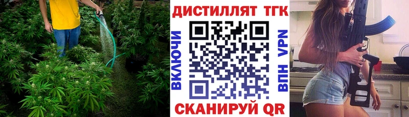 ТГК концентрат  Купить где  Ессентуки 