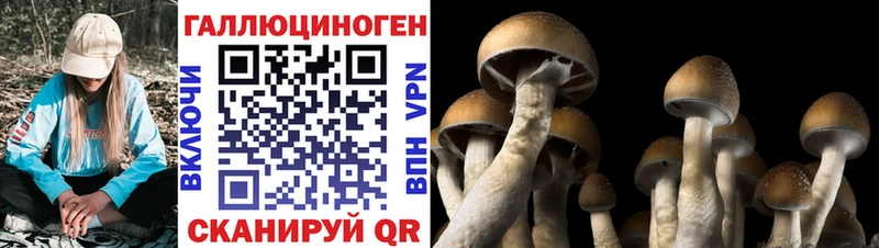 Купить где  Ессентуки  Галлюциногенные грибы Magic Shrooms 